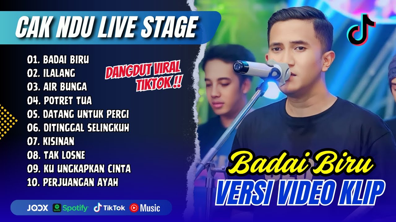 CAK NDU VIRAL TIKTOK - BADAI BIRU - ILALANG - AIR BUNGA | POTRET TUA || DANGDUT VIRAL TERBARU 2025