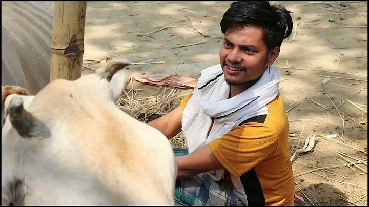 Ghar Ka Batwara | Surjapuri Comedy Video