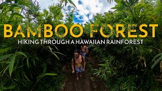 The Bamboo Forest Hike | Road To Hana | Maui Cinematic 4K | Hawaii