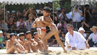上賀茂神社で烏相撲