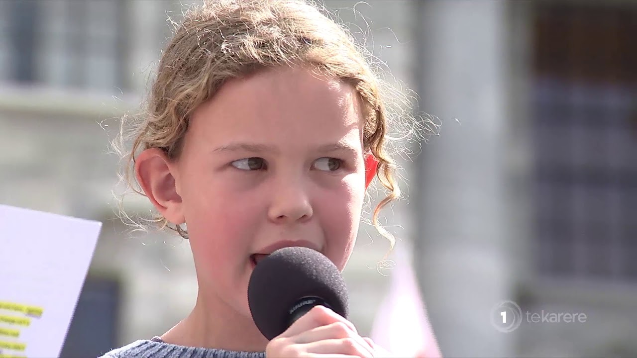 Climate change march reaches Parliament