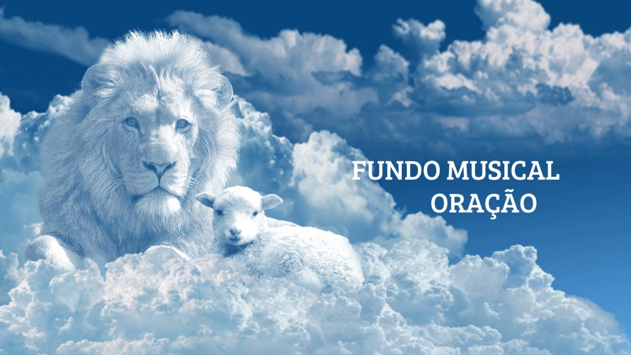 20 MINUTOS DOS MELHORES FUNDOS MUSICAIS DO CANAL