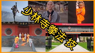 Demonstration of Shaolin Kempo technique, Shorinji Kempo, master class of Sensei Arai. 少林寺拳法 技. 武道祭. screenshot 5