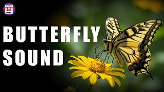 BUTTERFLY SOUND – ANIMAL SOUNDS – sound effects screenshot 5