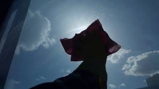 Greenwoods Best Window Cleaning Services A Clear View Of Quality Professionalism