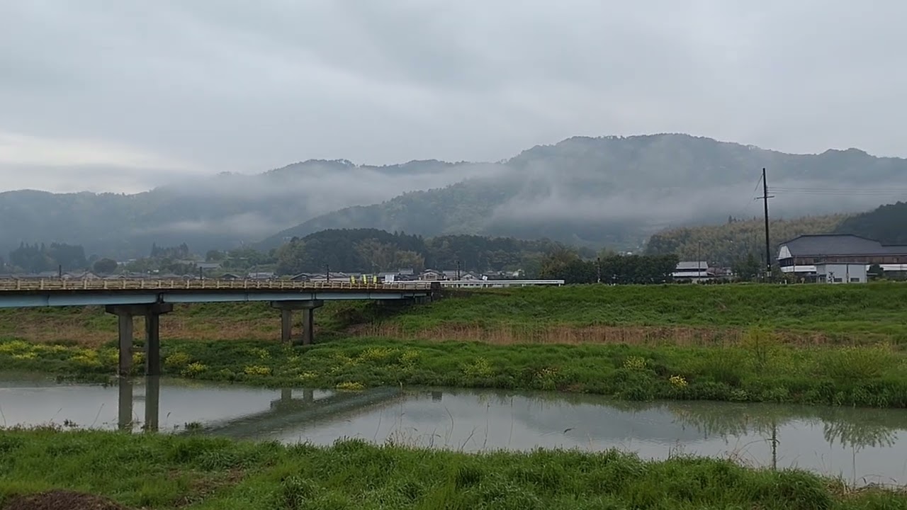 雨上がりの朝 - YouTube