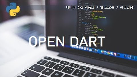 [OPEN DART] dart-fss 라이브러리 활용하기