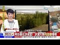 2017.10.08開放新中國完整版　庫布其 治沙傳奇