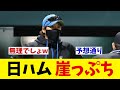 日本ハムが２連敗で崖っぷちに追い込まれる・・・【野球情報】【2ch 5ch】【なんJ なんG反応】【野球スレ】