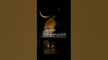 أرح سمعك وقلبك تلاوة خاشعة 🥹❤️❤️🌿🌷🌿 القارئ إسلام صبحي 🌿