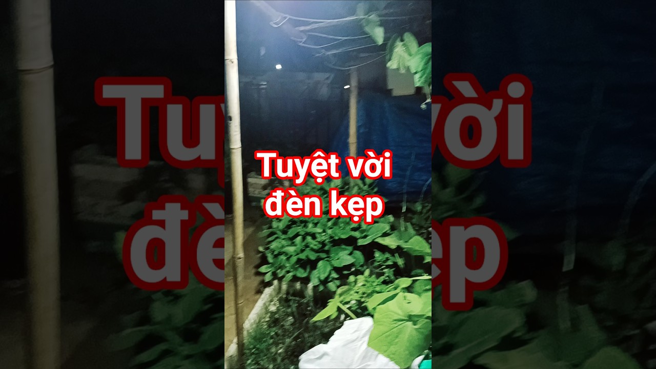 Wow tuyệt vời đèn kẹp