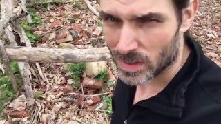Huge Bottle Dump Found 1800's &1900's Farm Site  Tips "finding Bottles" Vlog #47
