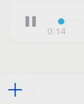 Berechet - FACEAPP “snippet”