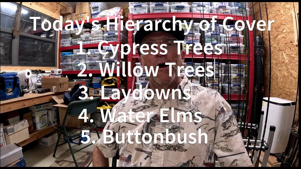 Bass Fishing 202-Lesson 28: Flooded Brush Hierarchy