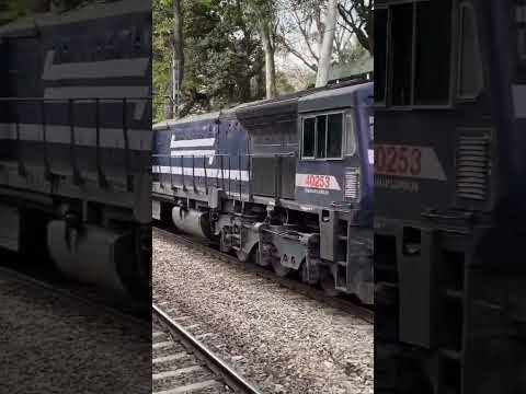 wdp4 and wdp4d