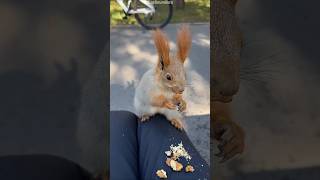 Squirrel Got A New Friend😍❤️