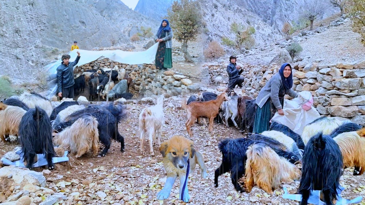 Кочевой образ жизни: строительство каменных яслей для пасущихся овец | И дождливая ночь в самом се