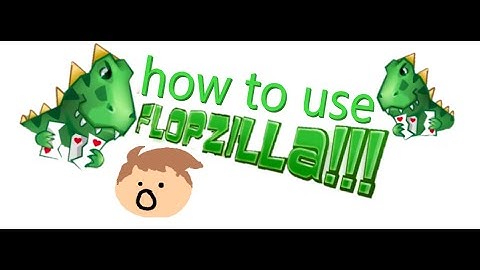 How to use Flopzilla
