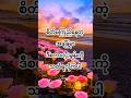 စိတ်မကြည်နေတဲ့အချိန်မှာ ဒီစကား(၄)ခွန်းကို သတိရလိုက်ပါ #foryou #motivation #knowledge #shortvideo