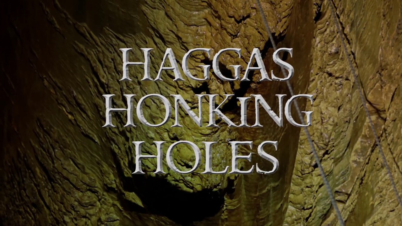 Haggas Honking Holes 2018