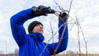 Human Stories: Lituania, Ina Grecka