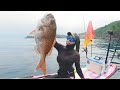 大量のイワシがサップの下を通ったその時、奇跡が起きた（水中映像あり）