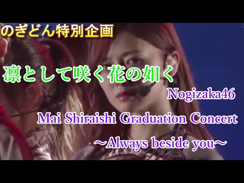 【乃木坂46】【白石麻衣　卒業ライブ記念】凛として咲く花の如く【NOGIZAKA46 Mai Shiraishi Graduation Concert 〜Always beside you〜】