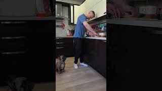 Настоящий гурман #французскийбульдог #собакиприколы #бульдоги #собакиюмор #собаки