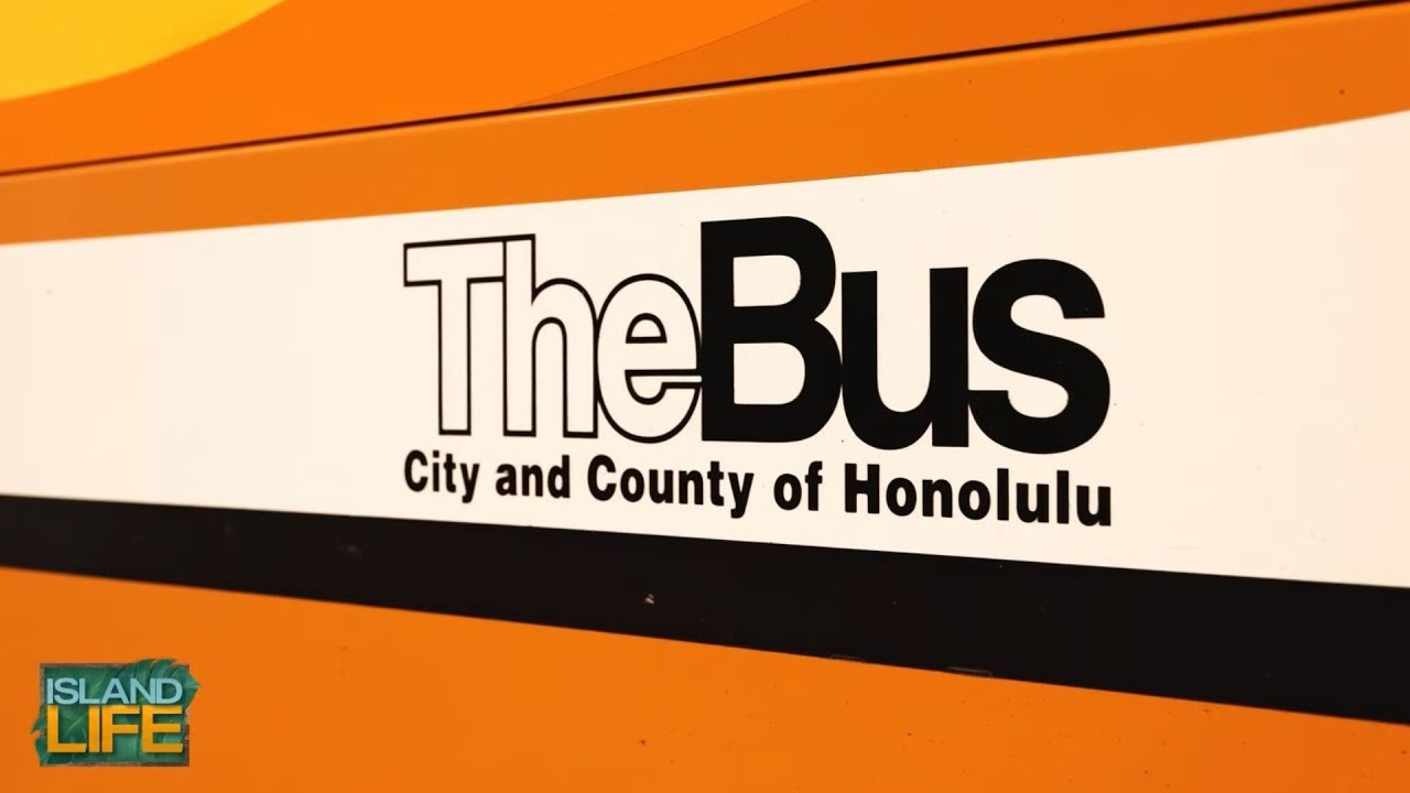 Multimodal Mondays: TheBus | ISLAND LIFE