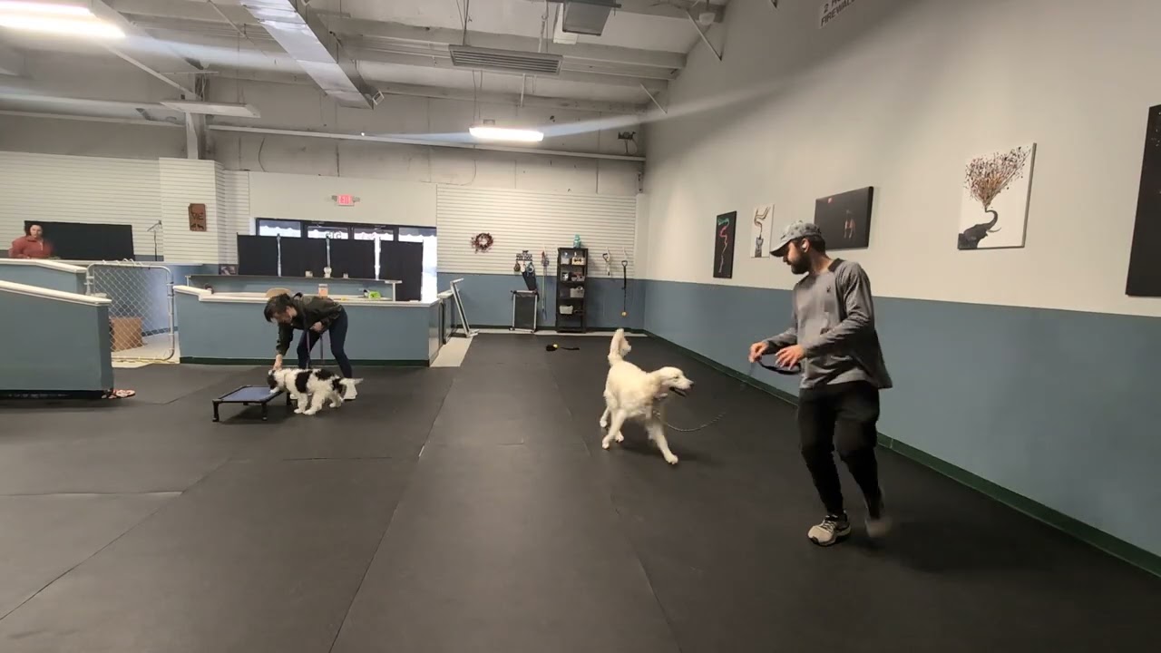 Cindy Lou and Maggie