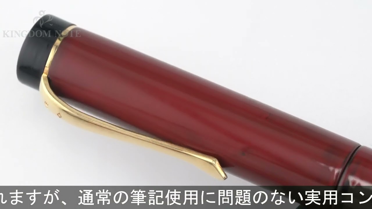 OHASIDO 大橋堂 万年筆 手作り万年筆 同軸モデル スタンダードサイズ 虫 18金無垢クリップ 中字