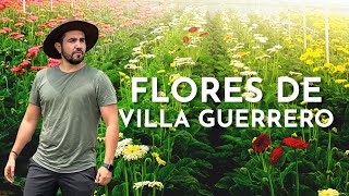 Villa Guerrero, EDOMEX: Un recorrido por sus invernaderos y colores.