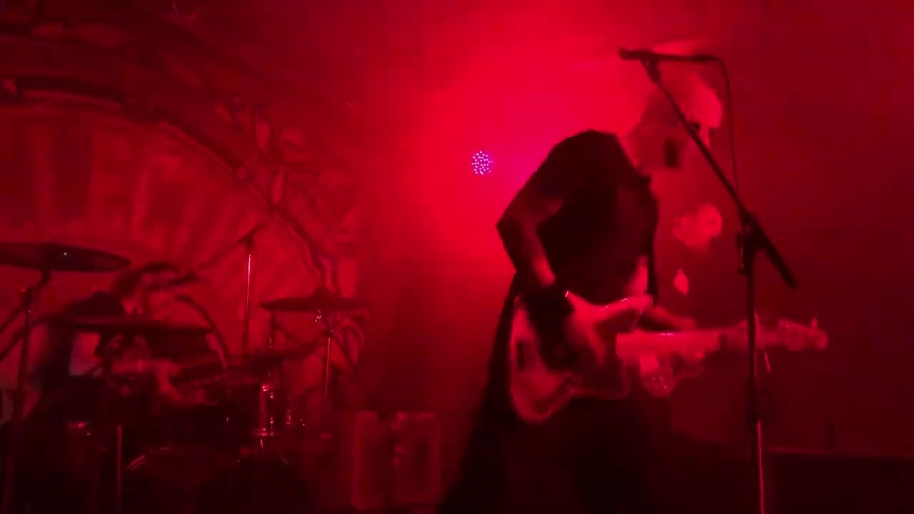 Antillectual - Change the standard, Bearded Punk Fest - Nijlen - BE, 22/04/2023