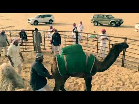 طرح حشوان 