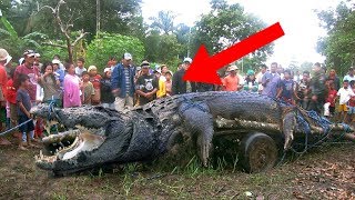 8 LARGEST Animals On The Planet!
