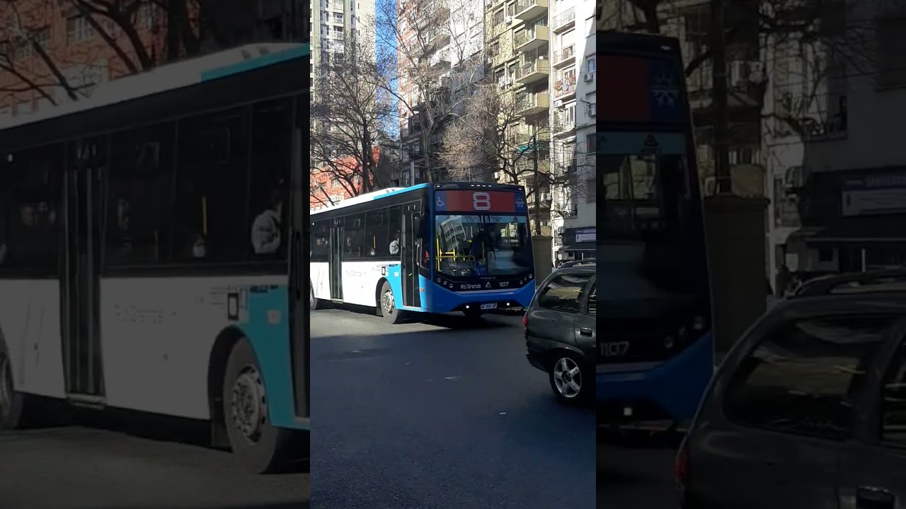 Linea 8 int. 1107 (Version 2024)