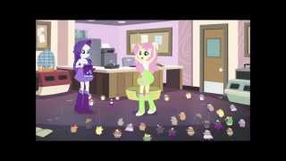FlutterDash - You Belong With Me