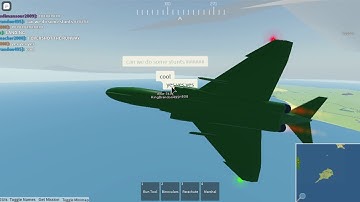 The Most Annoying Co-Pilot...