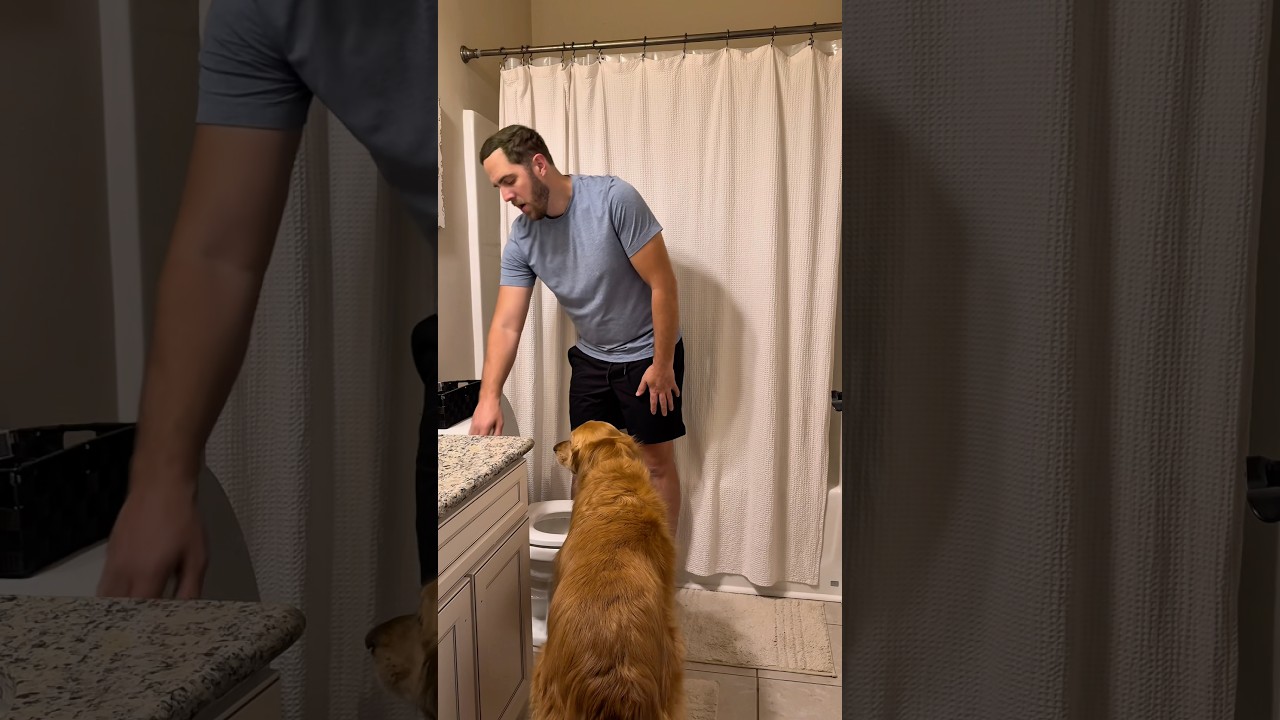 The WORST sound for dog parents at 3am 😂