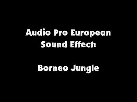 Audio Pro European SFX Borneo Jungle