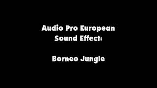 Audio Pro European SFX Borneo Jungle