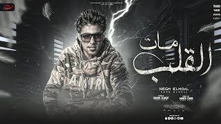 القلب مات من النفاق ( الغيره ميزه في العويل ) حلقولو 2023 | توزيع احمد النص 2023