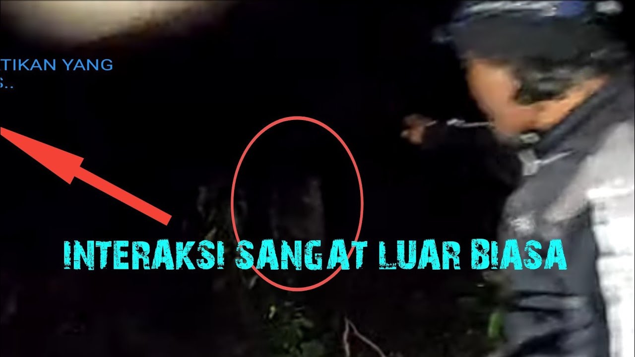 Bedah Jalur Gaib Siluman Alas Roban 