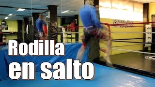 Rodilla En Salto Flying Knee Tutofighting