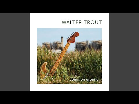 Putar Maybe A Fool - Walter Trout