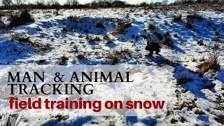 Mantracking On The Alps How To Track With Different Status Of Snow