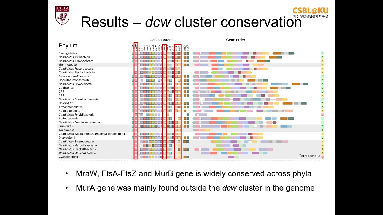 [Journal Club] Evolution of the division and cell wall gene cluster in Bacteria. 23/02/03
