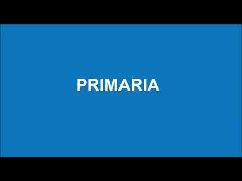 Actividad física - niño primaria