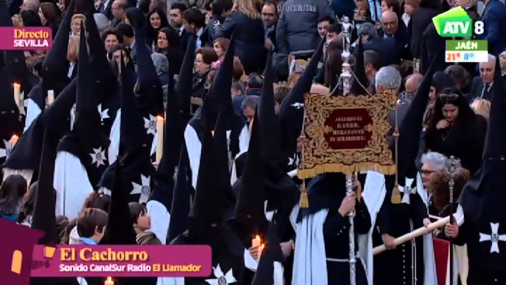 Semana Santa 2016 | Viernes Santo: El Cachorro en Campana (Sevilla)