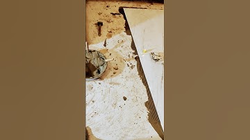 #chemical# se #tiles #fitting# short #video daily #YouTube channel #subscribe #😊